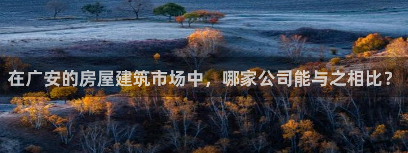 意昂3集团简介：在广安的房屋建筑市场中，哪家公司能与之相比？