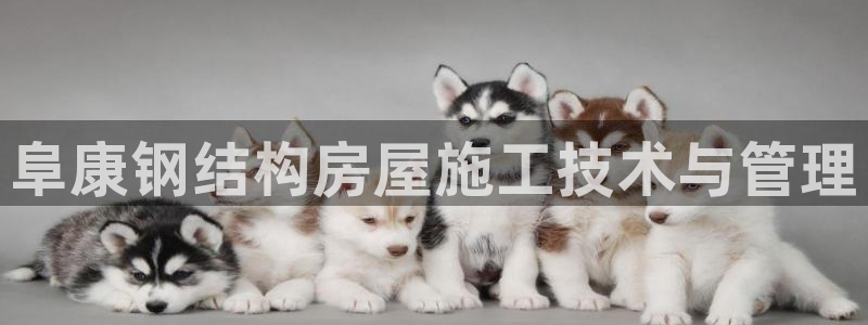 意昂体育3平台假的吗是真的吗：阜康钢结构房屋施工技术与管理