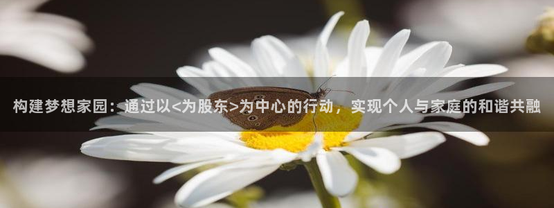 意昂3集团简介：构建梦想家园：通过以<为股东>为中心的行动，实现个人与家庭的和谐共融