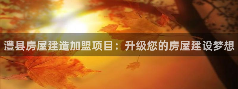 意昂3娱乐40996：澧县房屋建造加盟项目：升级您的房屋建设梦想