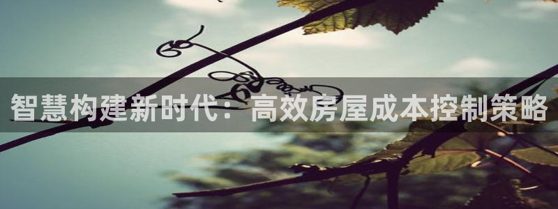 德国意昂3集团：智慧构建新时代：高效房屋成本控制策略