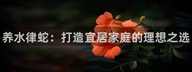 意昂体育3招商电话是多少：养水律蛇：打造宜居家庭的理想之选