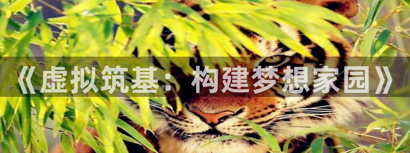 意昂体育3注册：《虚拟筑基：构建梦想家园》