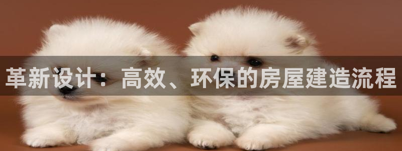 意昂体育3平台注册要钱吗是真的吗：革新设计：高效、环保的房屋建造流程