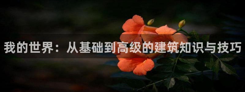 德国意昂3集团：我的世界：从基础到高级的建筑知识与技巧