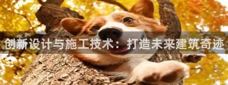 意昂体育3平台注册流程视频：创新设计与施工技术：打造未来建筑奇迹