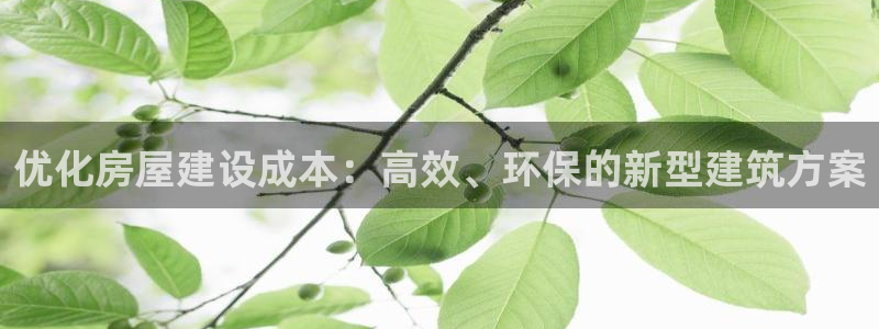 意昂体育3招商电话号码：优化房屋建设成本：高效、环保的新型建筑方案