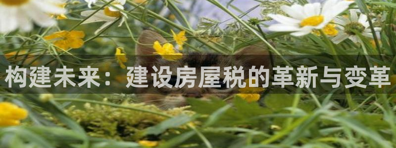 意昂3娱乐首页官网下载：构建未来：建设房屋税的革新与变革
