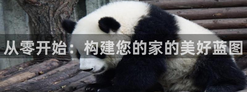 意昂体育3招商电话是多少：从零开始：构建您的家的美好蓝图