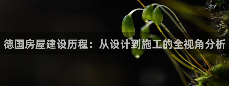 意昂体育3招商电话号码：德国房屋建设历程：从设计到施工的全视角分析
