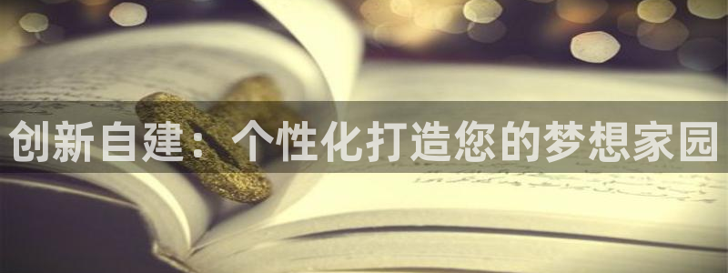 意昂3新能源：创新自建：个性化打造您的梦想家园
