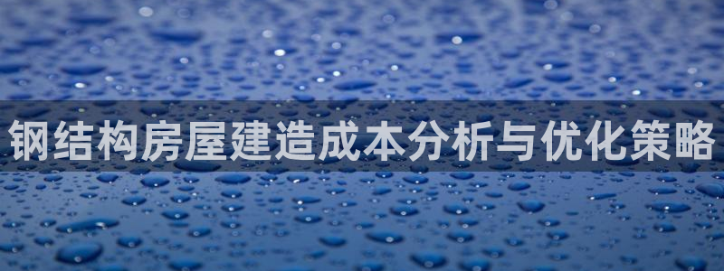 意昂3集团E.ON：钢结构房屋建造成本分析与优化策略