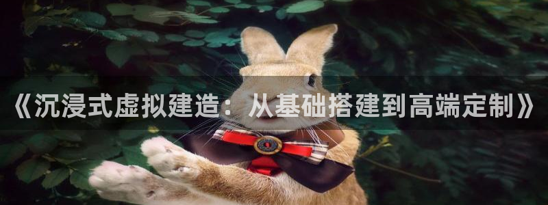 意昂体育3官方客服电话：《沉浸式虚拟建造：从基础搭建到高端定制》