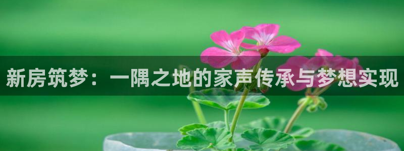 意昂体育3招商电话号码：新房筑梦：一隅之地的家声传承与梦想实现