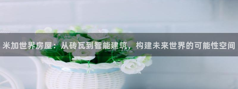 意昂体育3平台APP：米加世界房屋：从砖瓦到智能建筑，构建未来世界的可能性空间