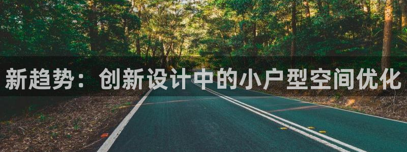 意昂3集团简介：新趋势：创新设计中的小户型空间优化