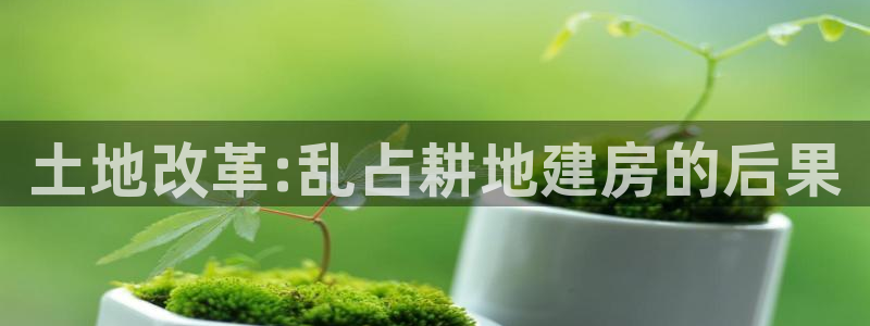 意昂3五金厂：土地改革:乱占耕地建房的后果