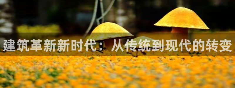 意昂3娱乐网站：建筑革新新时代：从传统到现代的转变