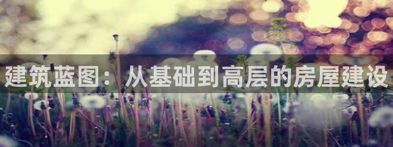 海南意昂体育3：建筑蓝图：从基础到高层的房屋建设