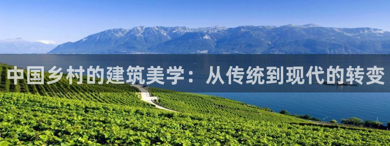 意昂体育3娱乐：中国乡村的建筑美学：从传统到现代的转变