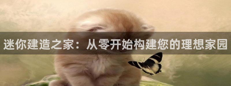 意昂3集团：迷你建造之家：从零开始构建您的理想家园