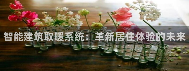 意昂体育3平台注册流程视频：智能建筑取暖系统：革新居住体验的未来