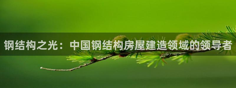 意昂体育3：钢结构之光：中国钢结构房屋建造领域的领导者