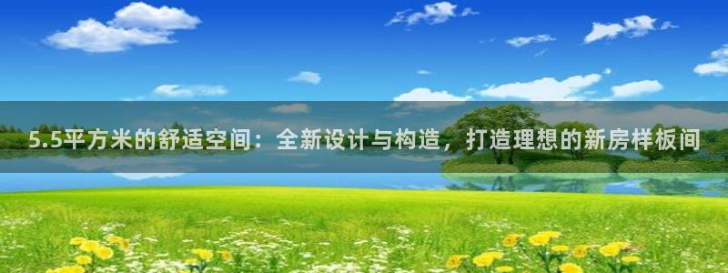 意昂体育3招商电话号码是多少号：5.5平方米的舒适空间：全新设计与构造，打造理想的新房样板间