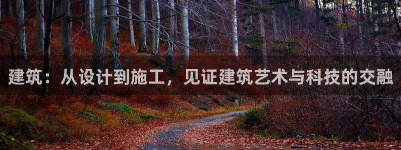 意昂体育3平台注册流程图：建筑：从设计到施工，见证建筑艺术与科技的交融
