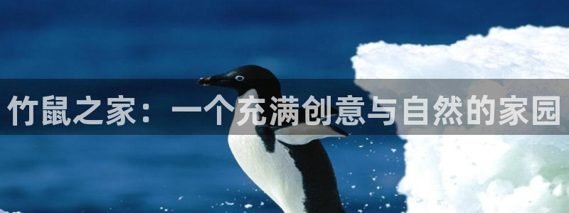 意昂3官网：竹鼠之家：一个充满创意与自然的家园