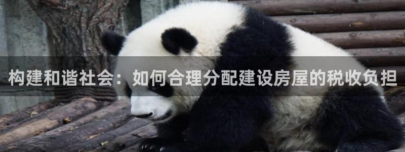 意昂体育3开户：构建和谐社会：如何合理分配建设房屋的税收负担