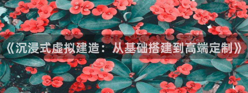意昂体育3招商电话是多少：《沉浸式虚拟建造：从基础搭建到高端定制》